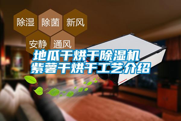 地瓜干烘干除濕機 紫薯干烘干工藝介紹