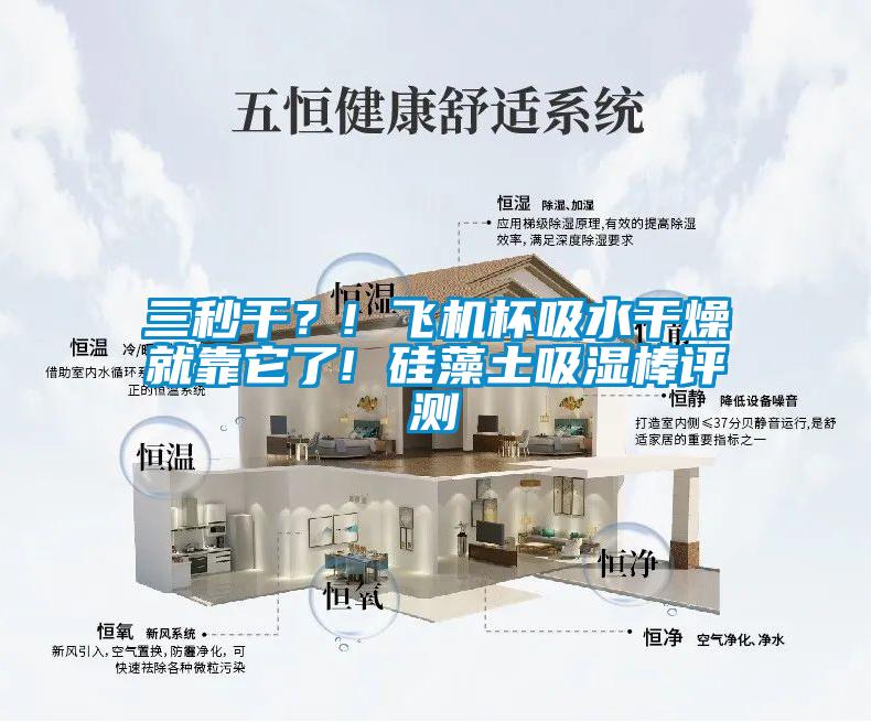 三秒干?! 飛機杯吸水干燥就靠它了! 硅藻土吸濕棒評測