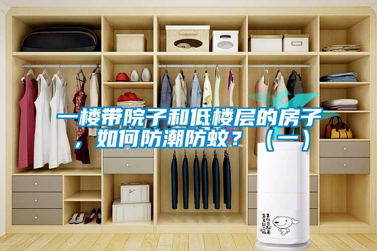 一樓帶院子和低樓層的房子，如何防潮防蚊？（一）