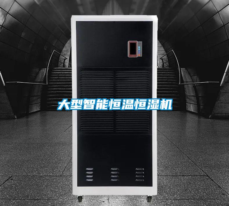 大型智能恒溫恒濕機