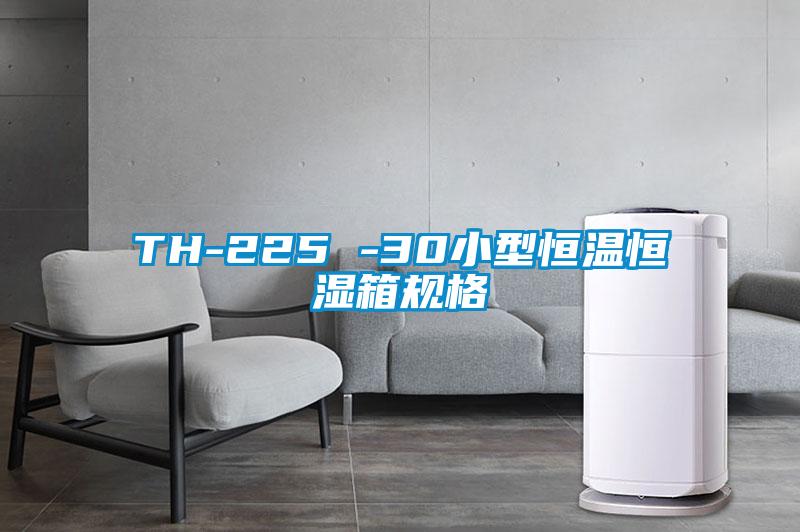 TH-225 -30小型恒溫恒濕箱規格