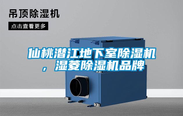 仙桃潛江地下室除濕機(jī),濕菱除濕機(jī)品牌