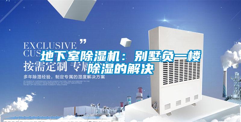 地下室除濕機:別墅負一樓除濕的解決