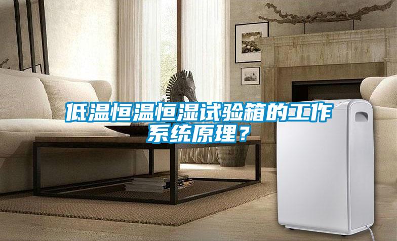 低溫恒溫恒濕試驗(yàn)箱的工作系統(tǒng)原理？
