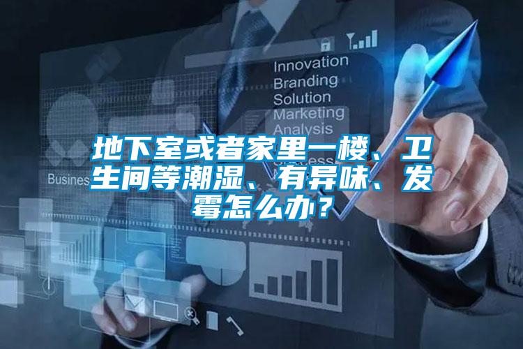 地下室或者家里一樓、衛生間等潮濕、有異味、發霉怎么辦？