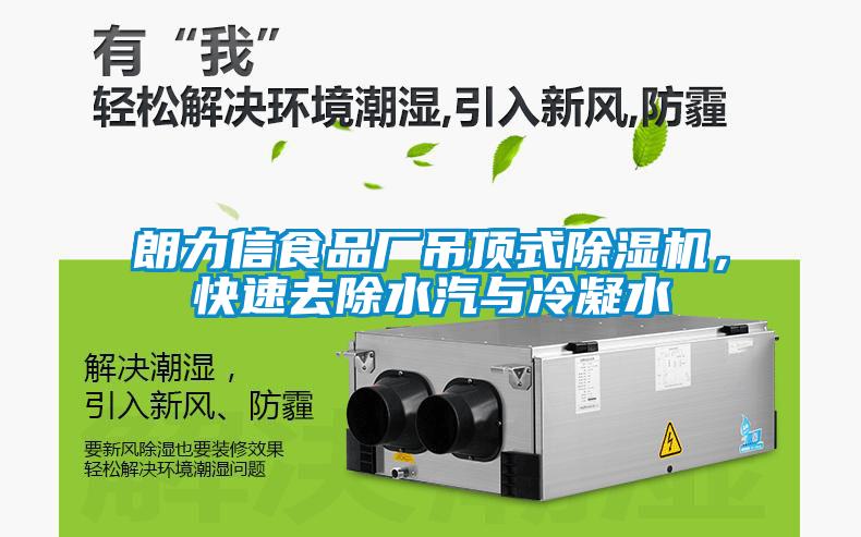 朗力信食品廠吊頂式除濕機，快速去除水汽與冷凝水