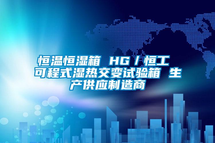 恒溫恒濕箱 HG/恒工 可程式濕熱交變試驗箱 生產供應制造商