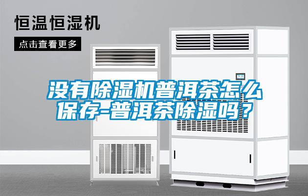 沒有除濕機普洱茶怎么保存-普洱茶除濕嗎？