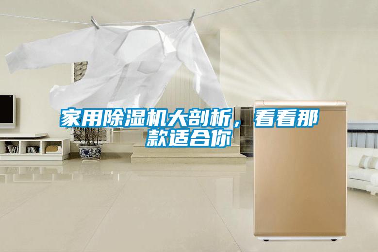 家用除濕機(jī)大剖析，看看那款適合你