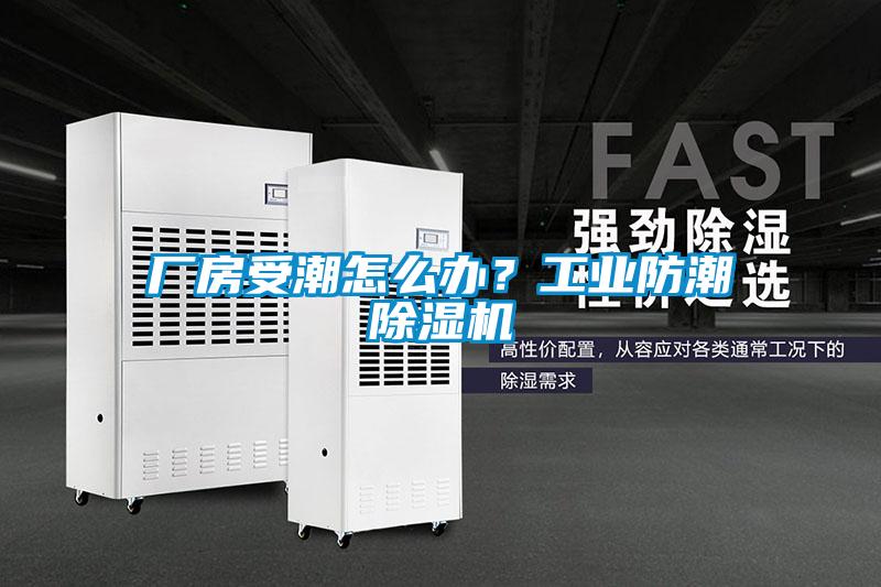 廠房受潮怎么辦?工業防潮除濕機