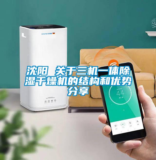 沈陽 關(guān)于三機(jī)一體除濕干燥機(jī)的結(jié)構(gòu)和優(yōu)勢分享