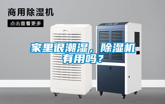 家里很潮濕，除濕機有用嗎？