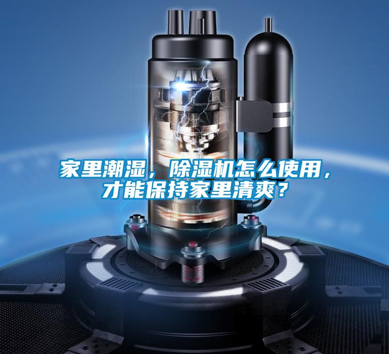 家里潮濕，除濕機怎么使用，才能保持家里清爽？