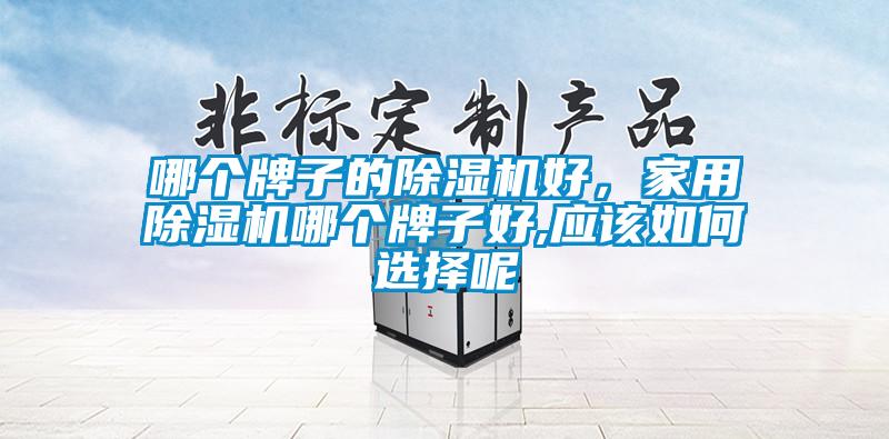 哪個牌子的除濕機好，家用除濕機哪個牌子好,應該如何選擇呢