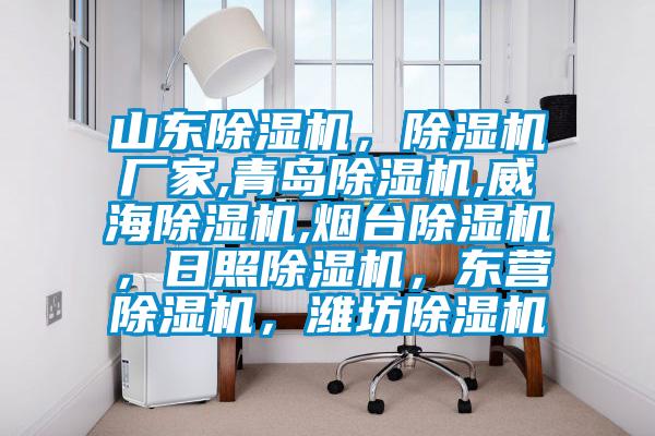 山東除濕機,除濕機廠家,青島除濕機,威海除濕機,煙臺除濕機,日照除濕機,東營除濕機,濰坊除濕機