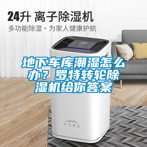 地下車庫潮濕怎么辦？羅特轉(zhuǎn)輪除濕機(jī)給你答案