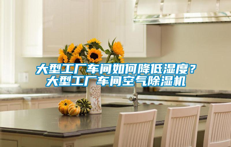 大型工廠車間如何降低濕度?大型工廠車間空氣除濕機(jī)