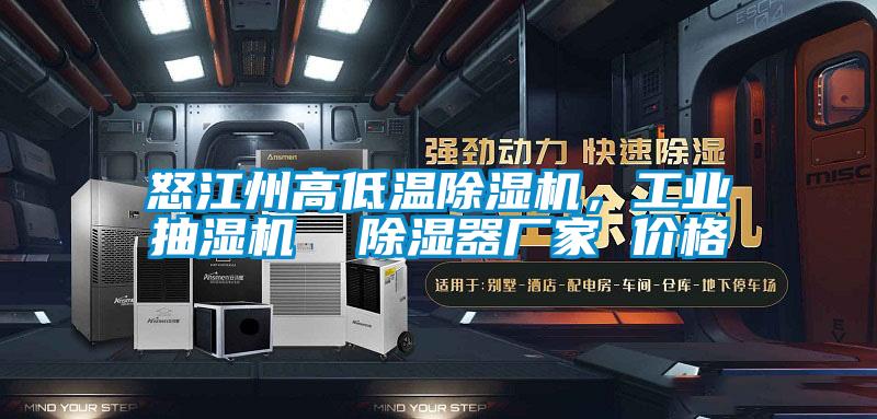 怒江州高低溫除濕機,工業抽濕機 除濕器廠家 價格