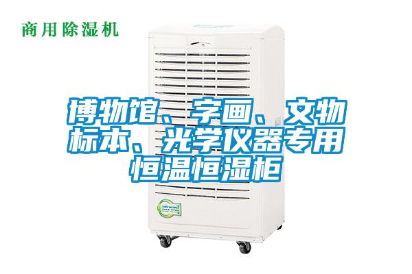 博物館、字畫、文物標本、光學儀器專用恒溫恒濕柜