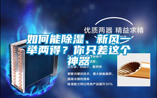 如何能除濕、新風一舉兩得？你只差這個神器