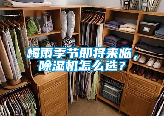 梅雨季節即將來臨,除濕機怎么選?