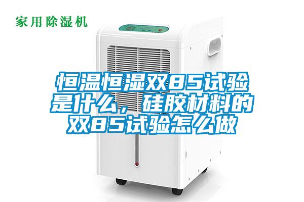 恒溫恒濕雙85試驗是什么,硅膠材料的雙85試驗怎么做