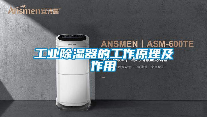 工業除濕器的工作原理及作用