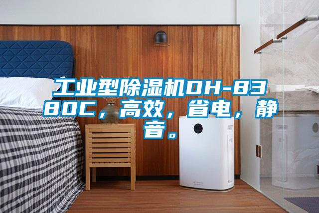 工業型除濕機DH-8380C，高效，省電，靜音。