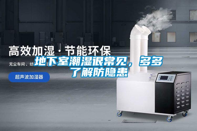 地下室潮濕很常見，多多了解防隱患