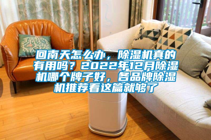 回南天怎么辦，除濕機真的有用嗎？2022年12月除濕機哪個牌子好，各品牌除濕機推薦看這篇就夠了