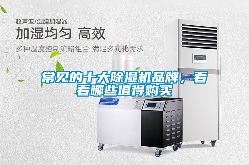 常見的十大除濕機品牌，看看哪些值得購買