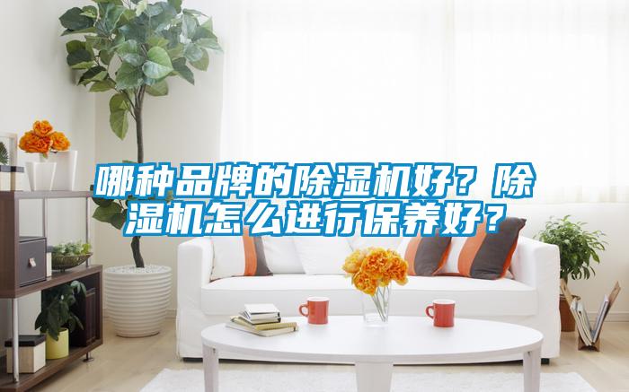 哪種品牌的除濕機好？除濕機怎么進行保養好？