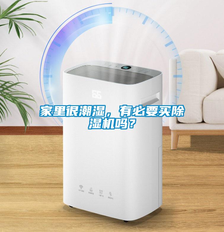 家里很潮濕，有必要買除濕機(jī)嗎？