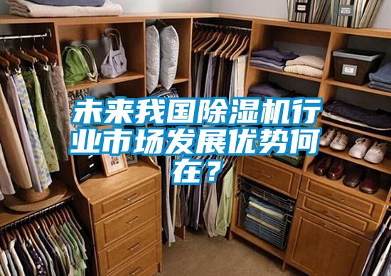 未來我國(guó)除濕機(jī)行業(yè)市場(chǎng)發(fā)展優(yōu)勢(shì)何在?