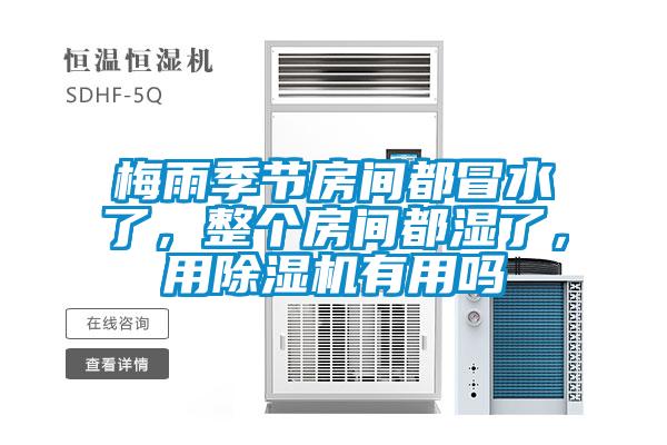 梅雨季節房間都冒水了,整個房間都濕了,用除濕機有用嗎
