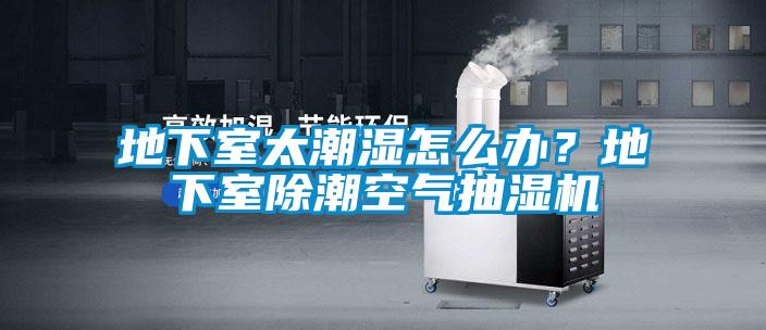 地下室太潮濕怎么辦?地下室除潮空氣抽濕機