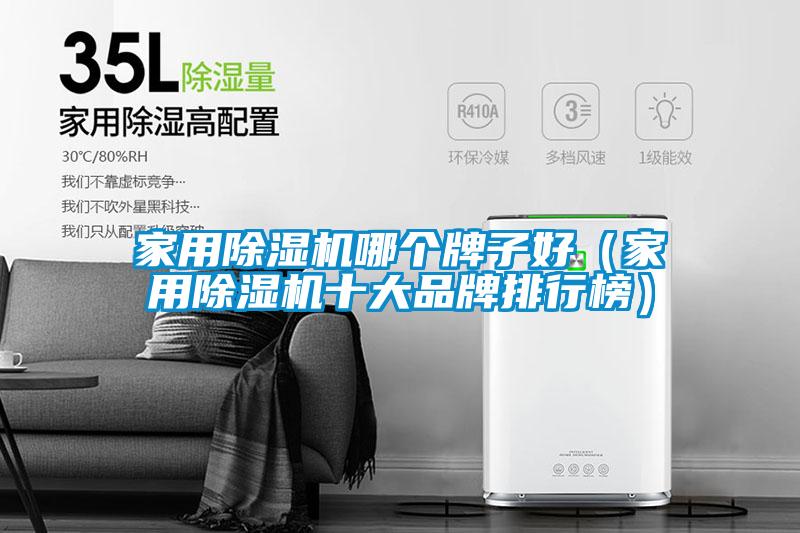 家用除濕機(jī)哪個牌子好(家用除濕機(jī)十大品牌排行榜)