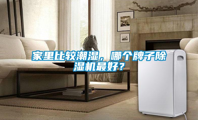 家里比較潮濕，哪個牌子除濕機最好？