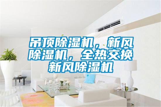 吊頂除濕機，新風(fēng)除濕機，全熱交換新風(fēng)除濕機