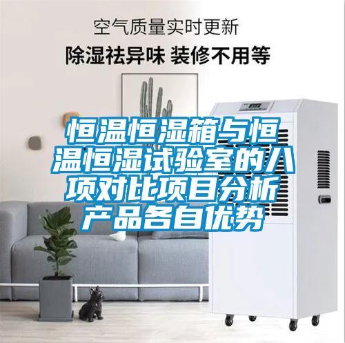 恒溫恒濕箱與恒溫恒濕試驗室的八項對比項目分析產品各自優(yōu)勢
