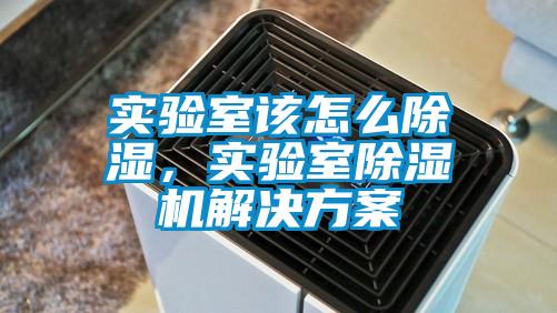 實驗室該怎么除濕,實驗室除濕機(jī)解決方案