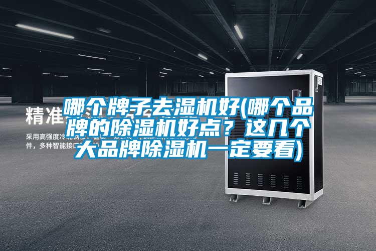 哪個牌子去濕機好(哪個品牌的除濕機好點？這幾個大品牌除濕機一定要看)