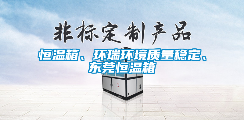 恒溫箱、環瑞環境質量穩定、東莞恒溫箱