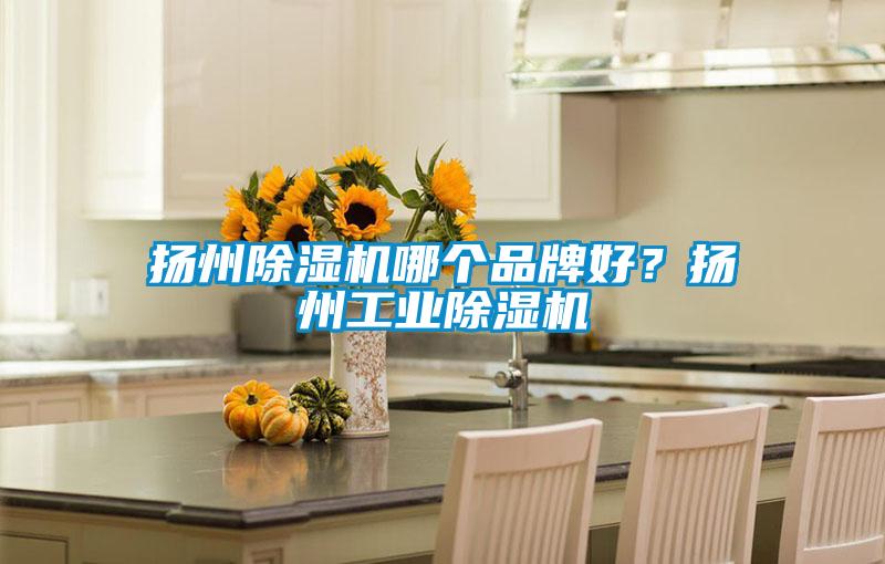 揚州除濕機哪個品牌好？揚州工業(yè)除濕機