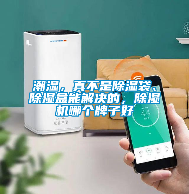 潮濕,真不是除濕袋、除濕盒能解決的,除濕機哪個牌子好