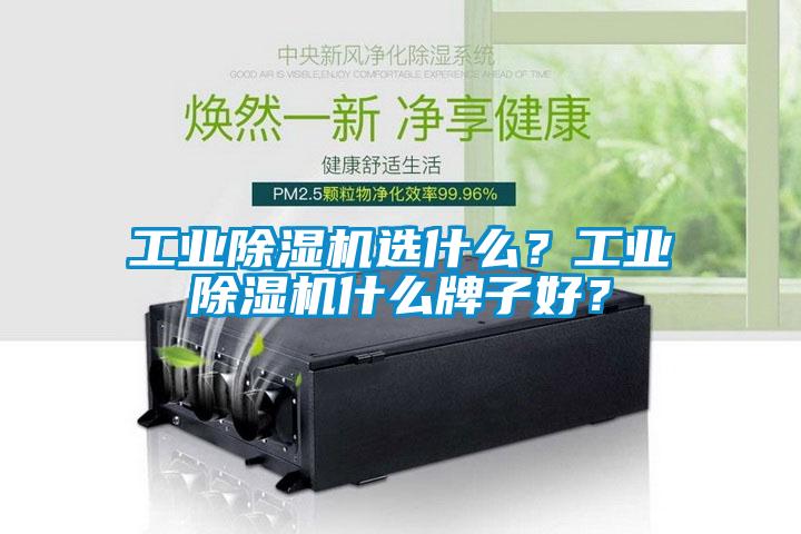 工業除濕機選什么?工業除濕機什么牌子好?