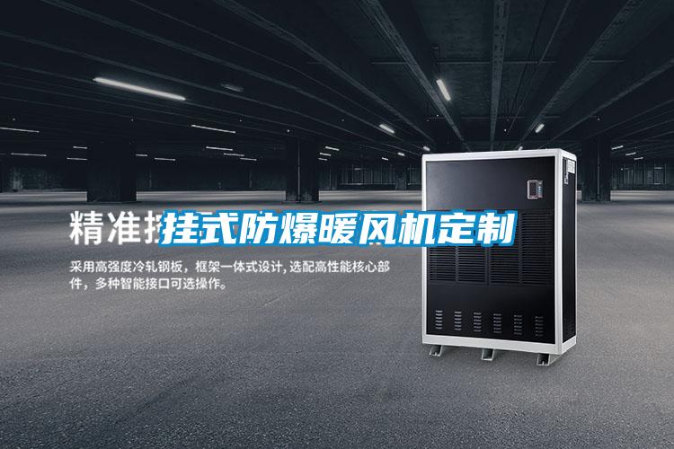 掛式防爆暖風(fēng)機(jī)定制