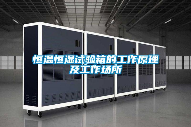 恒溫恒濕試驗(yàn)箱的工作原理及工作場所