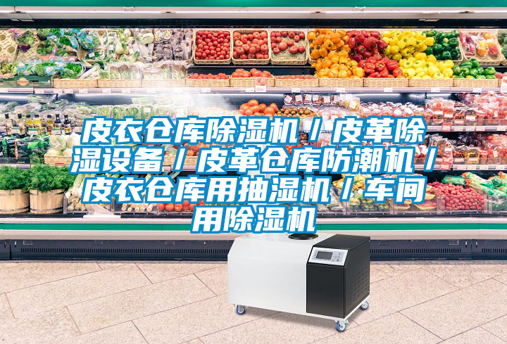 皮衣倉庫除濕機/皮革除濕設備/皮革倉庫防潮機/皮衣倉庫用抽濕機/車間用除濕機