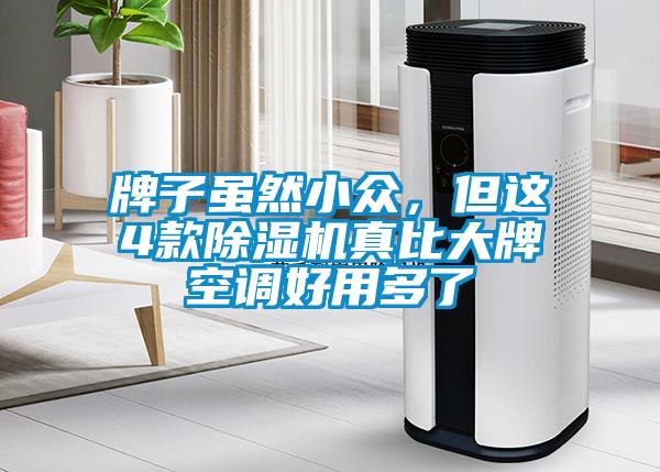 牌子雖然小眾,但這4款除濕機真比大牌空調(diào)好用多了